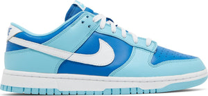 Nike Dunk Low Argon